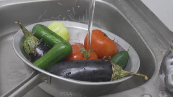 Woman washing freshly picked organic vegetables in colander — Stock Video