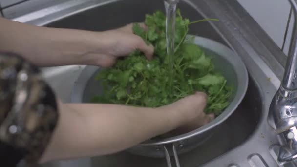 Vrouw wassen biologische peterselie in vergiet voor het bereiden van gezonde salade — Stockvideo