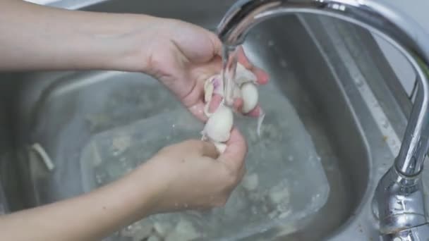 Mujer lavando ajo bajo agua corriente — Vídeo de stock