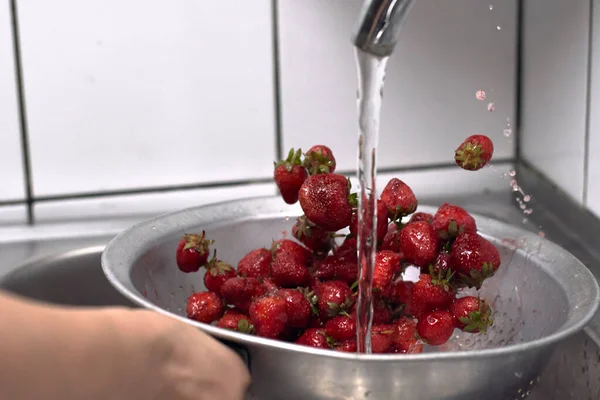 Wassen van verse rauwe aardbeien — Stockfoto