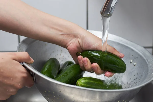 Kobieta myje świeżo zebrane organiczne ogórki w kolandrze — Zdjęcie stockowe