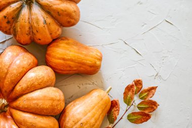 Kırsal sonbahar balkabakları