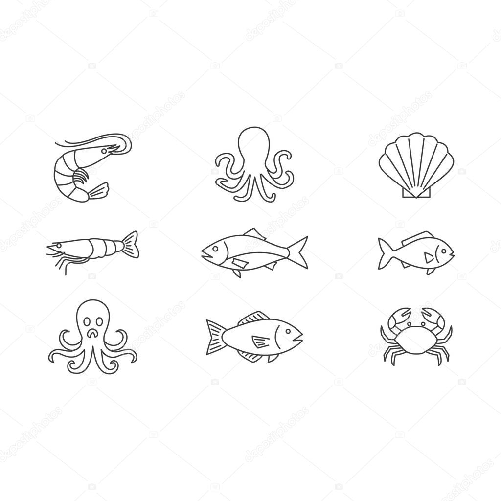 Set of seafood icon. Ocean life, sea, whale, turtle, starfish, deli, perch and more icon line art style vector template