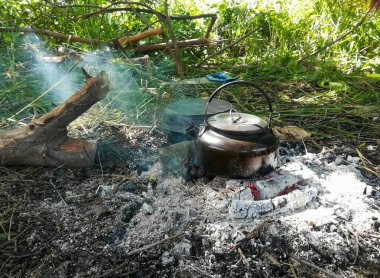 Yaz sabahının erken saatlerinde nehir kıyısında çimenler, ağaçlar ve örümcek ağlarıyla güzel bir manzara.