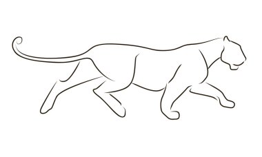 Siyah çizgi leopar beyaz arka plan üzerinde çalışıyor. El çizimi vektör grafik panter.