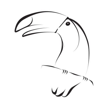 Bir toucan kuş beyaz arka planda siyah silüeti. Vektör grafiği.