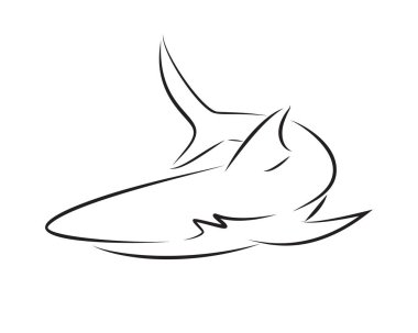 Beyaz arka planda siyah çizgi köpekbalığı. El çizim vektör grafiği.