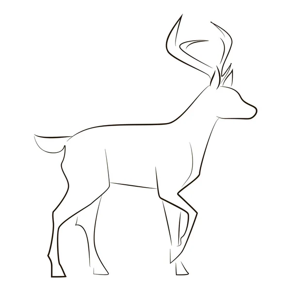 Standing Black Line Deer White Background Hand Drawing Vector Graphic — Stock Vector