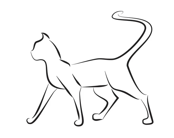 Black line cat on white background. Hand drawing vector graphic.