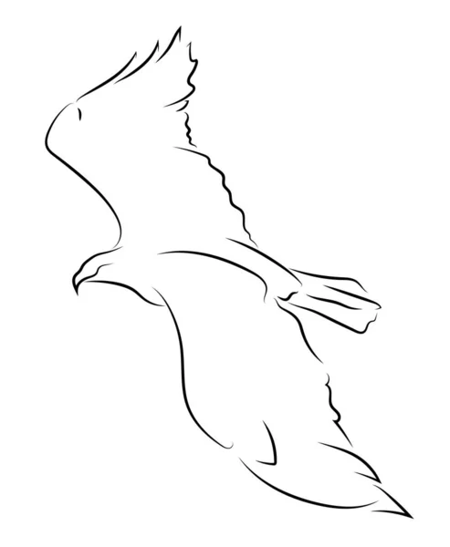 Летающий Чёрный Орёл Белом Фоне Векторный Рисунок — стоковый вектор