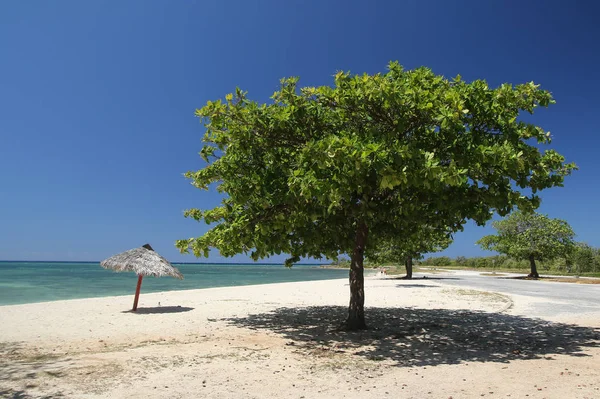 Tropikalny Plaży Ancon Cuba Trinidad — Zdjęcie stockowe