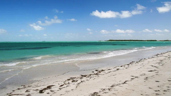 Karaiby tropikalny piasek plaża w Varadero Kuba — Zdjęcie stockowe