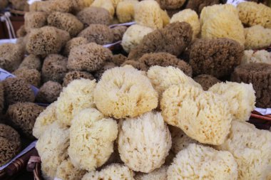 Sarı ve kahverengi doğal yumuşak süngerler.