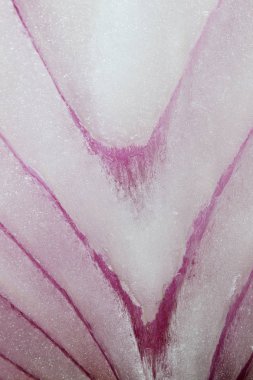 Dilimlenmiş kırmızı soğan dokusunu kapatın 