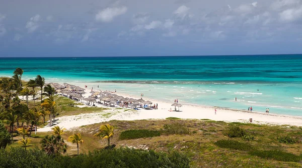 Karibik tropischer Sandstrand in Varadero Kuba und Palmen — Stockfoto