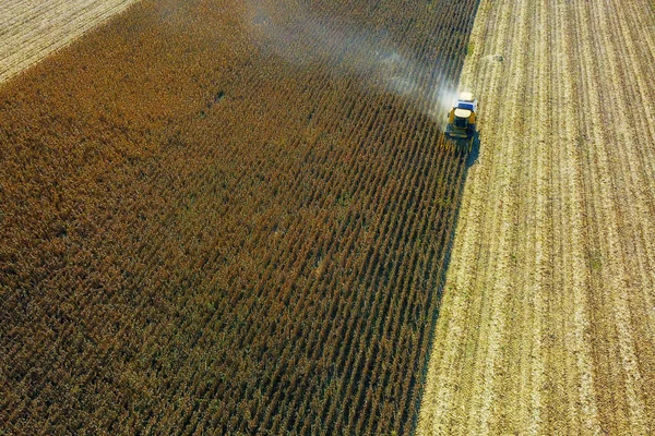 Вид с воздуха на желтый комбайн на кукурузном поле — стоковое фото