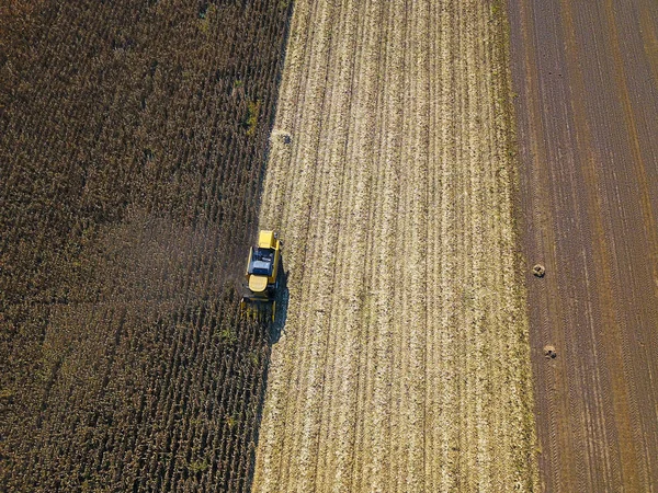 Vista aérea da colheita da ceifa no campo de milho — Fotografia de Stock