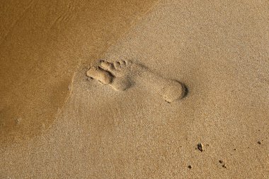 Kumlu plajda step, Yalnızlık