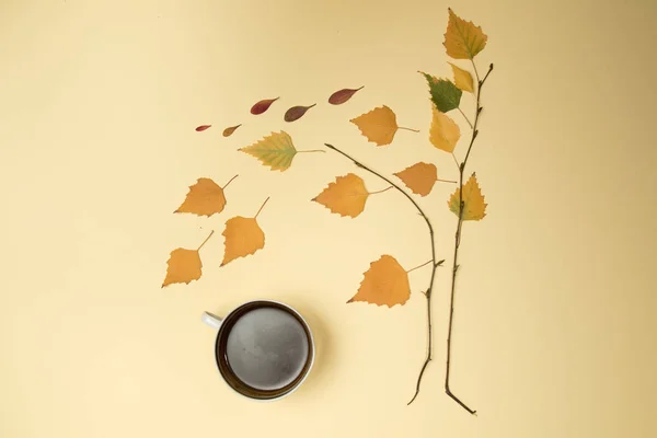 Top view of Autumn fall tree and cup of coffee — Stock Photo, Image