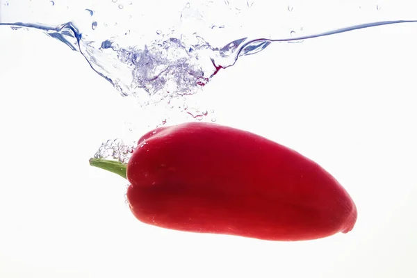 Páprica quente vermelho em respingo de água no branco — Fotografia de Stock