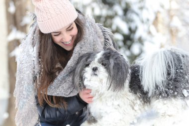 Gülümseyen bir kız ve shih tzu köpek arasında bir aşk