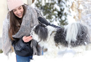 Kışın gülümseyen bir kız ve shih tzu köpek arasında bir aşk