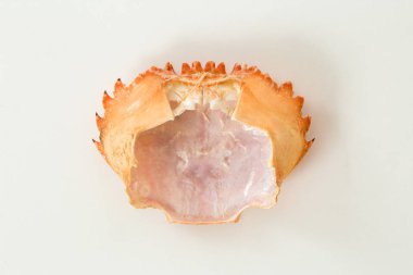 Beyaz üzerinde boş turuncu yengeç kabuğu