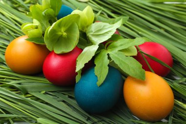 Çim üzerinde yedi Boyalı Paskalya yumurtası