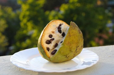 Cherimoya, Annona cherimola, tabak üzerinde meyve