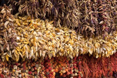 Çeşitli kurutulmuş biber, kırmızı ve Madeira adadan sıcak