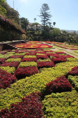 Funchal Madeira adasında Botanik Bahçesi