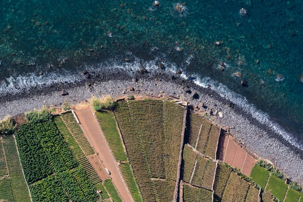 Vista superior sobre campos cultivados e costa do penhasco de Cabo Girao em — Fotografia de Stock