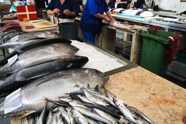 Rybí trh, tuňák, černá tkaničnice a sardinky — Stock fotografie