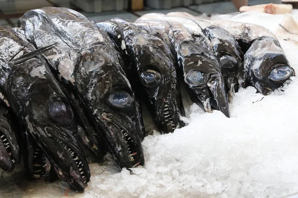 Schwarzer Scheidenfisch, aphanopus carbo — Stockfoto