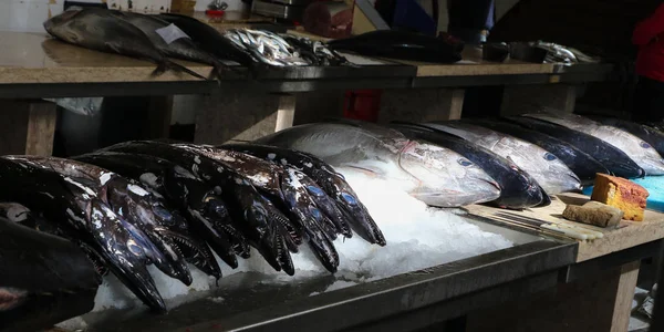 Funchal 'da balık pazarı, ton balığı, siyah kın ve sardalya — Stok fotoğraf