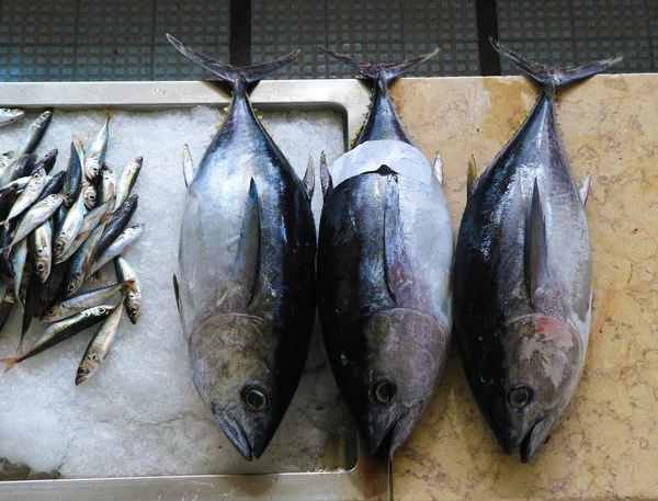 Tuňák a sardinky na trhu Funchail, Madeira — Stock fotografie