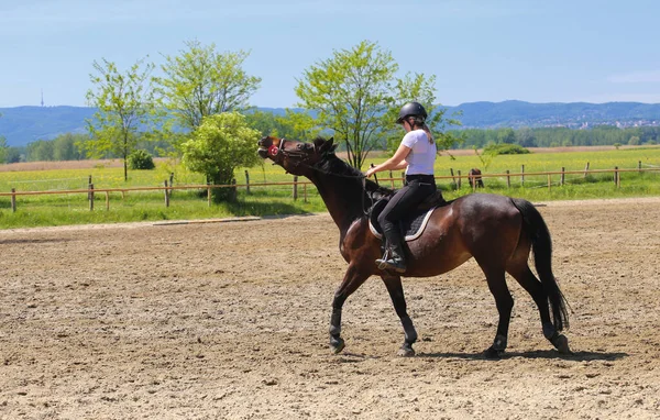 女の子は乗馬学校で野生のソレル馬に乗っている — ストック写真