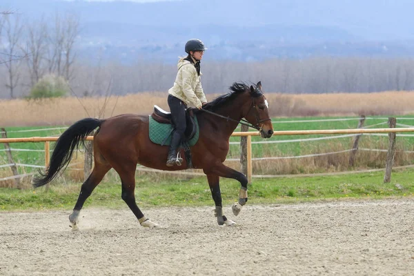 乗馬学校の馬に乗っている女の子のギャロップ — ストック写真