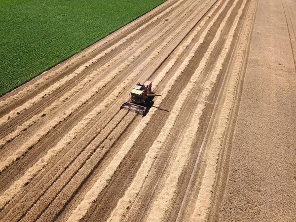 Top View Old Harvester Reaps Grain Summer Time — Stock Photo, Image