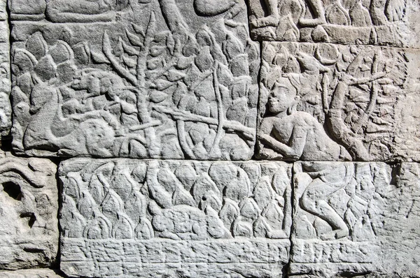 Antik Khmer Ormanda Geyik Avlayan Bir Adamın Çimenleri Kemiren Bir — Stok fotoğraf