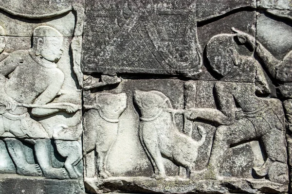 Αρχαία Χμερ Ανάγλυφο Σκάλισμα Των Δύο Αγριόχοιρων Για Δελεαστεί Μάχες — Φωτογραφία Αρχείου