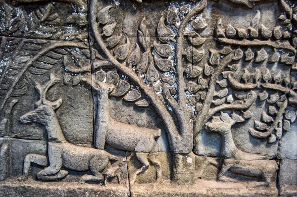 Forntida Bas Relief Carving Visar Rådjur Skog Bayontemplet Angkor Thom — Stockfoto