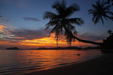 salıncak veya beşik asmak Hindistan cevizi ağacı gölge güzel koh Mak Island beach Trad Tayland, gün batımı