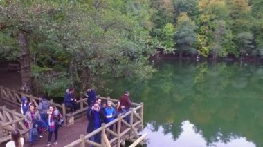 Göl sineği hindinin içinde. 