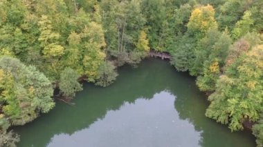 drone sinek doğa görünümü