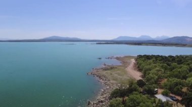 drone sinek doğa görünümü