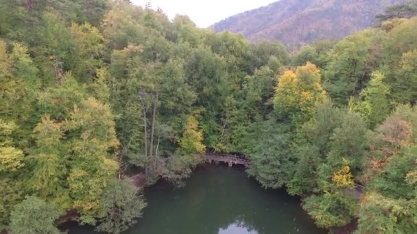 Drone Mosca Vista Natureza — Vídeo de Stock