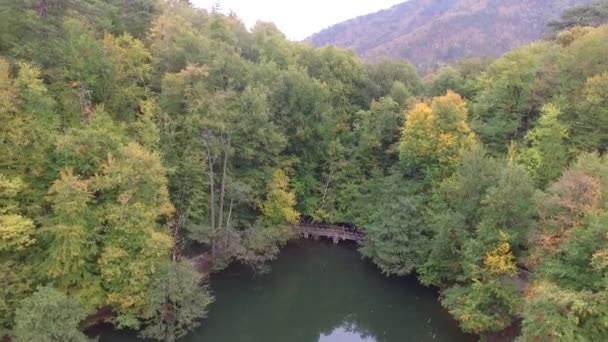 Drone Fly Vista Natura — Video Stock