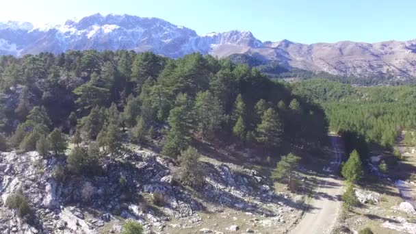 Vista Naturaleza Cámara Drone — Vídeos de Stock
