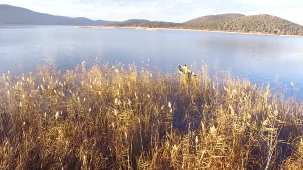 Drone Doğa Görünümü Sinek Telifsiz Stok Video